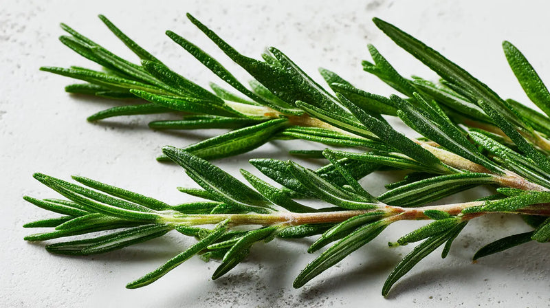 Rosemary Leaf