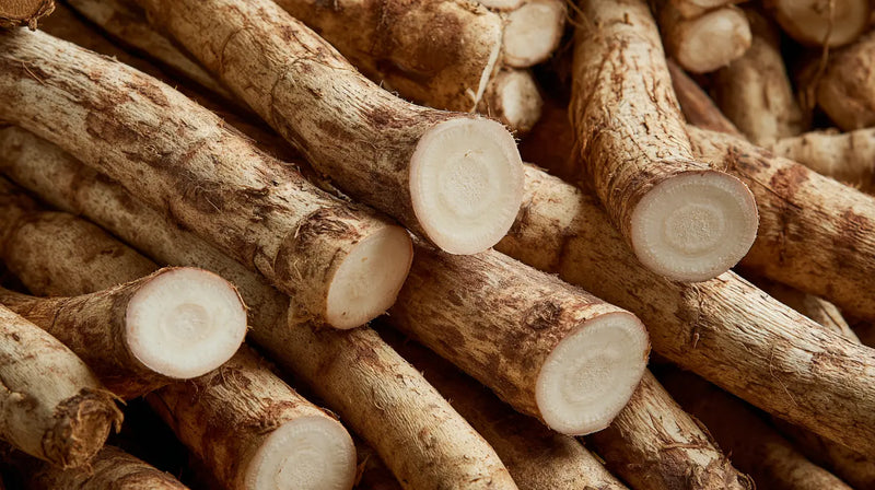 Burdock Root Extract