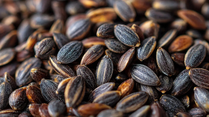 Milk Thistle Seed Extract