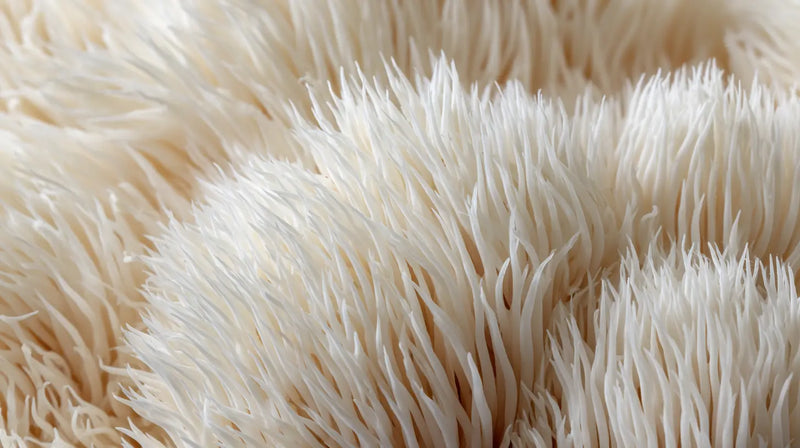 Lion's Mane