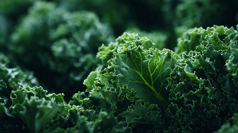 Kale