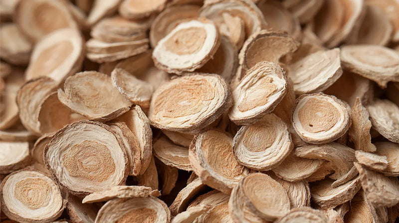Astragalus Root