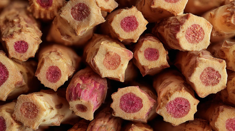 Rhodiola Rosea Extract